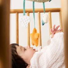 Load image into Gallery viewer, miniland, igracke za bebe, visilice, plisane igracke, glodalice za bebe, zvecka za bebe