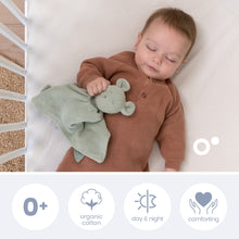 Load image into Gallery viewer, doomoo, mazilica, igracke za bebe, plisane igracke, doudou