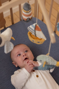 vrteske za krevetac, igracke za krevetac, mekane igracke, pisak za bebe, pokloni za bebe, plisane igracke, mazilice za bebe, little dutch igracke, little dutch srbija, mekane igracke, nove igracke